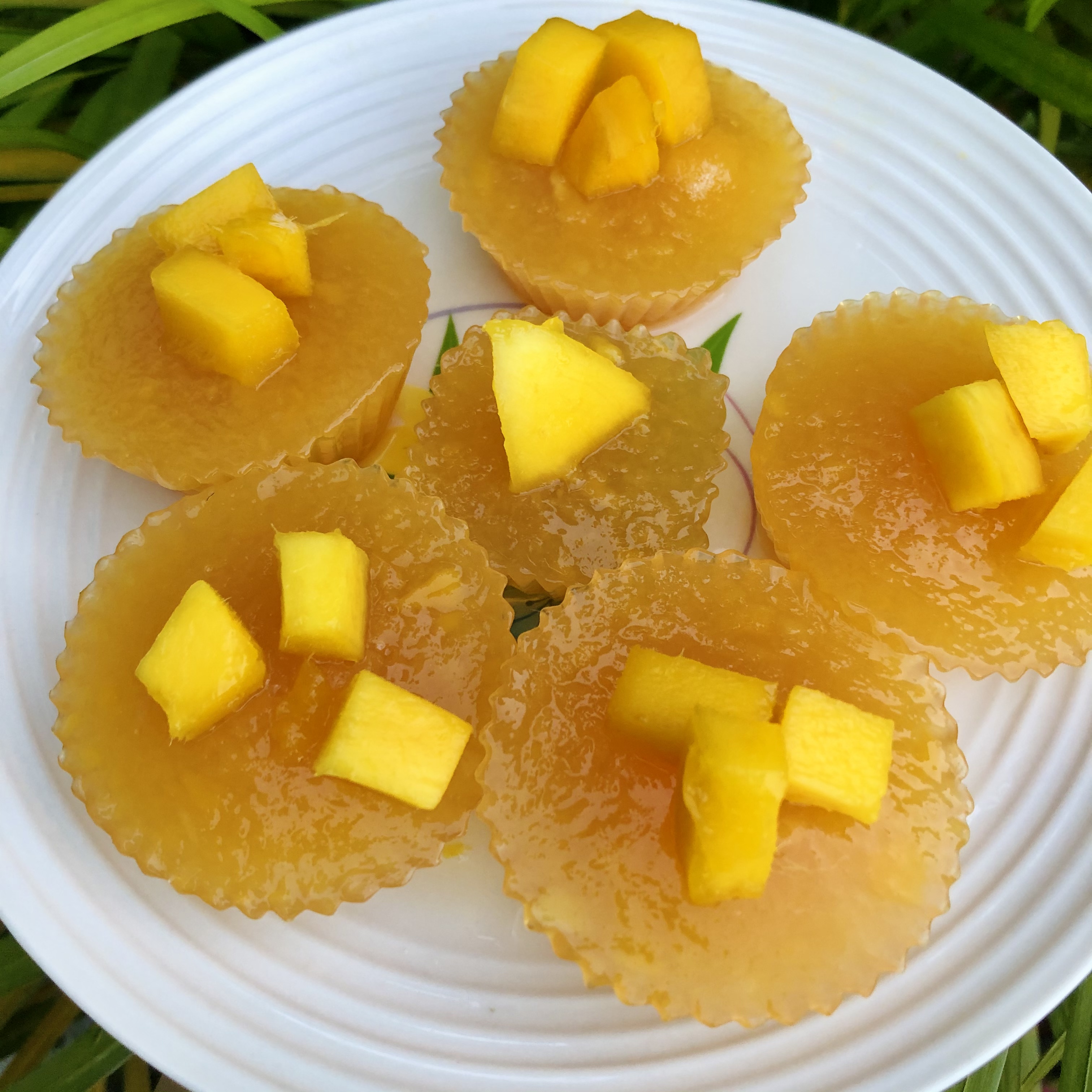 Puding Mangga