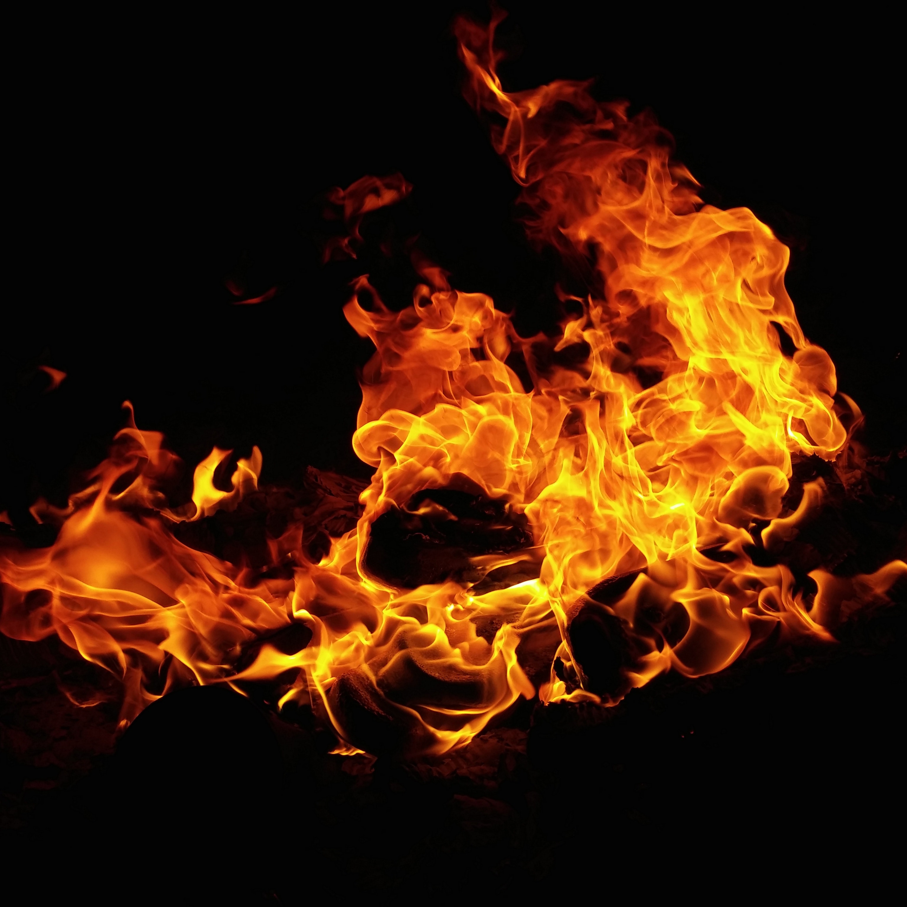 The Types of Heat in Cooking 