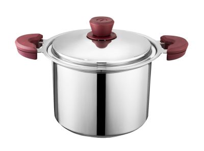 WONDER CHEF 22cm Saucepot AJXBC222NHU1