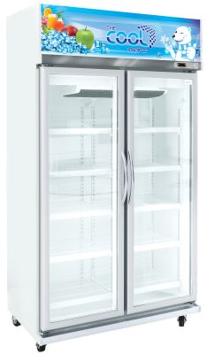 The Cool Upright Cooler ALEX-2P-Jumbo