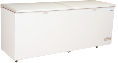 SNOW Chest Freezer (Lifting Door Series) 710L (Inverter) LY750LDD (i)
