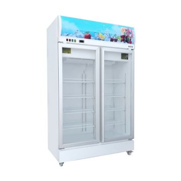 SNOW 2 DOOR DISPLAY CHILLER 923L LY1001BBC-H