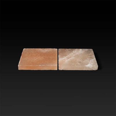 DRY AGER SALTAIR SALT BLOCK SET DX0058