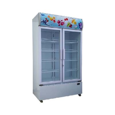 SNOW 2 Door Chiller LY700BBC-E