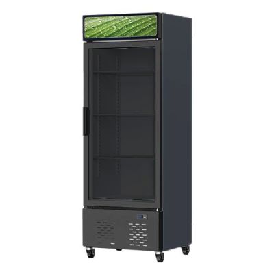 REDOR 1 DOOR DISPLAY CHILLER (BEVERAGE COOLER) RD-578FDX