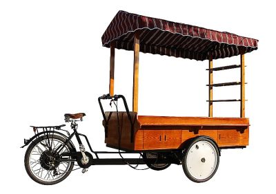 CN Coffee Tricycle - Pedal Type CN-CT(P)