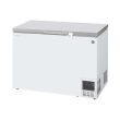 HOSHIZAKI Deep Freezer 298L HDF-300A-SEA