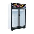 SNOW 2 Door Display Upright Chiller (Black) 1240 x 735 x 2075 (Inverter Compressor) LY1000BBC-HB (I)