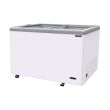 SANDEN	Flat Glass Freezer 'G' Series 194L SNG-0225