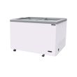 SANDEN Flat Glass Freezer 'G' Series 273L SNG-0325