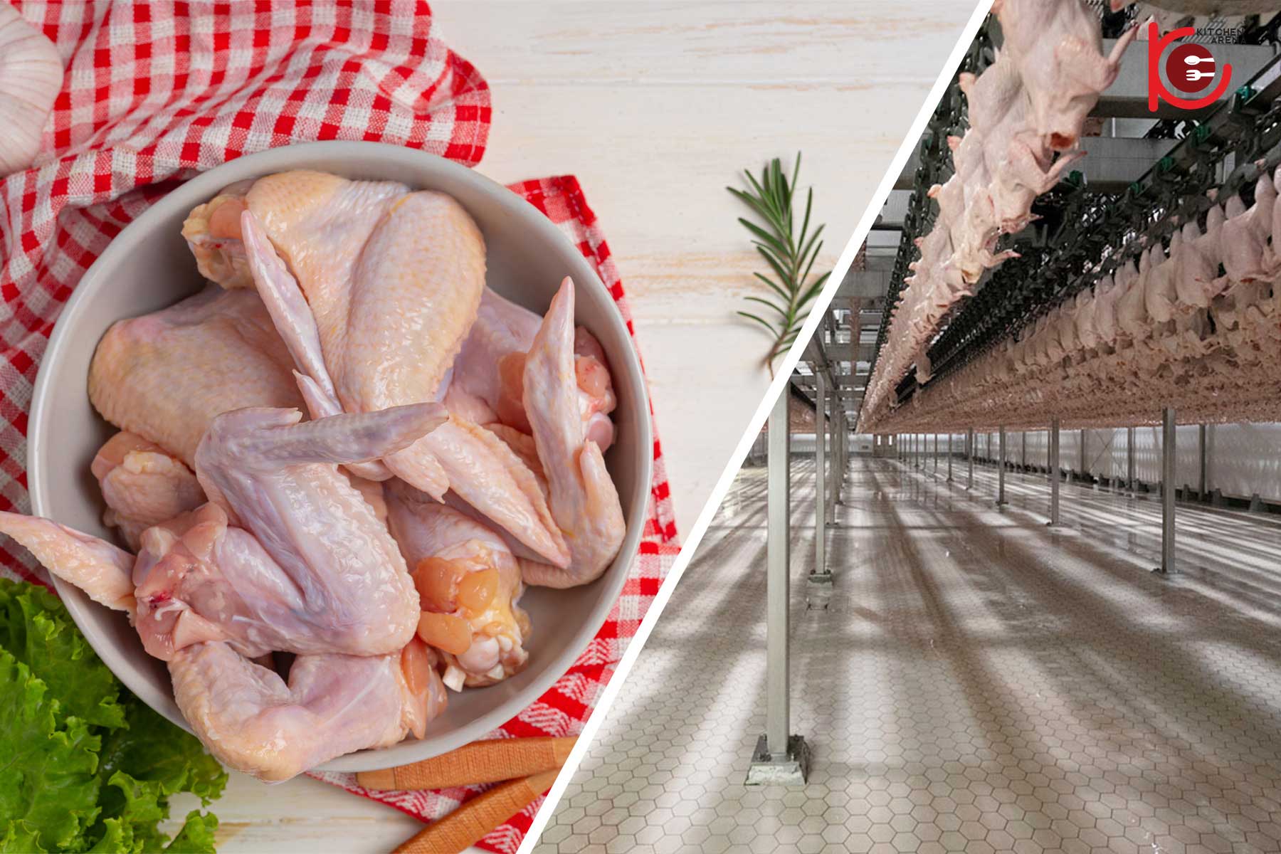 Chilled Chicken VS Frozen Chicken Kitchen Equipment Online Store