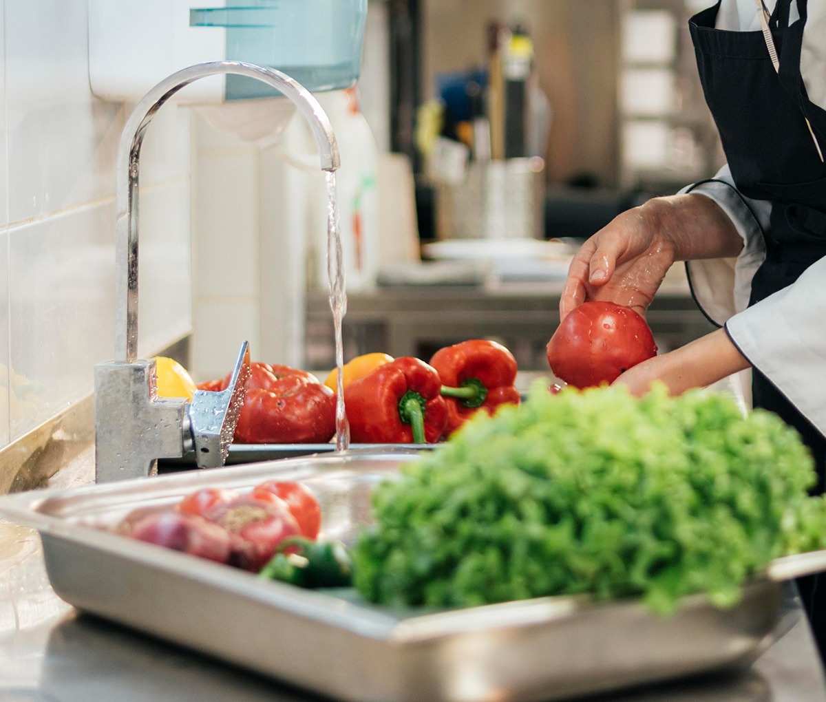Central kitchen equipped by Kitchen Arena